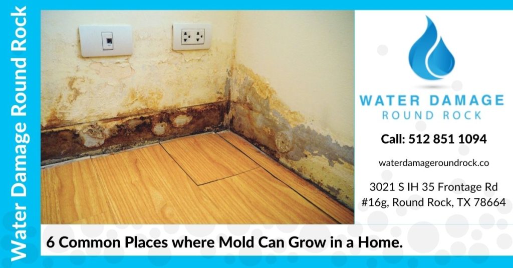6 Common Places where Mold Can Grow in a Home.